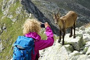 Corno Stella con anello dei laghetti da Foppolo il 27 agosro 2015  - FOTOGALLRY